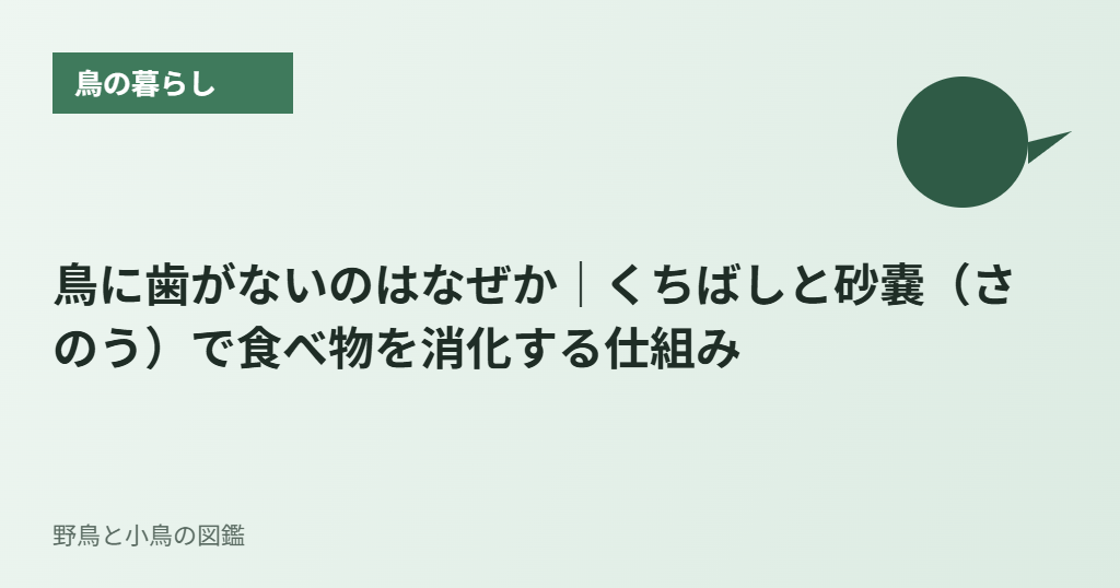 鳥に歯がないのはなぜか｜くちばしと砂嚢（さのう）で食べ物を消化する仕組み