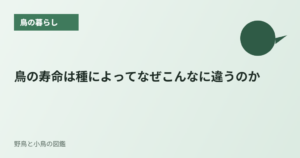 鳥の寿命は種によってなぜこんなに違うのか
