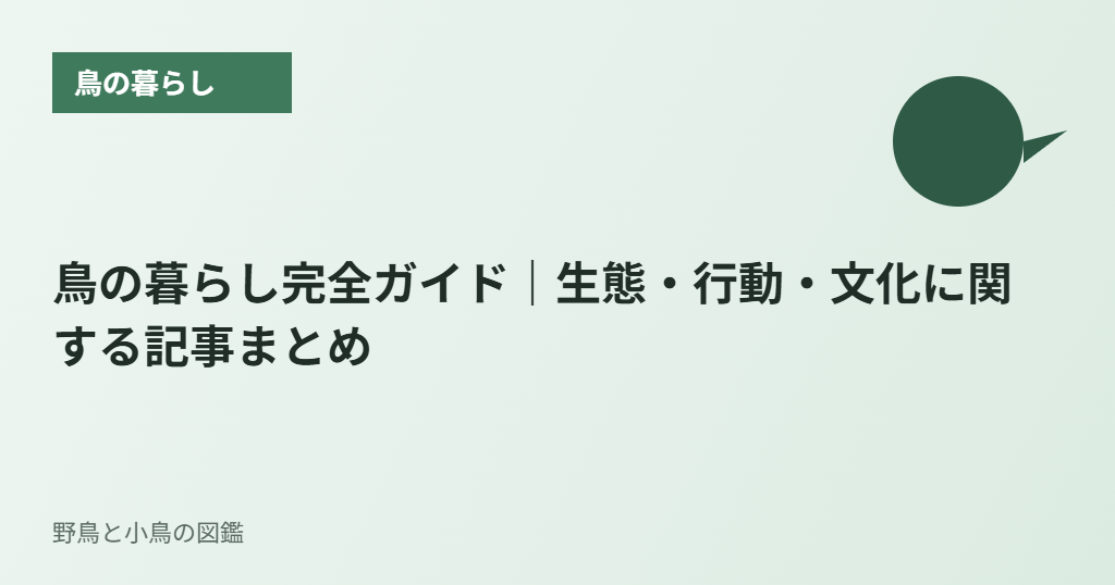 鳥の暮らし完全ガイド|生態・行動・文化に関する記事まとめ