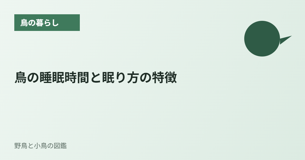 鳥の睡眠時間と眠り方の特徴