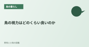 鳥の視力はどのくらい良いのか