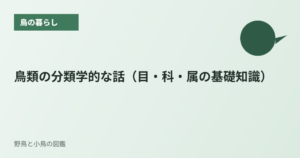 鳥類の分類学的な話（目・科・属の基礎知識）